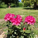 La Rose Paisible 3* Brusson