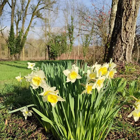 Maison d'hôtes La Rose Paisible 3*