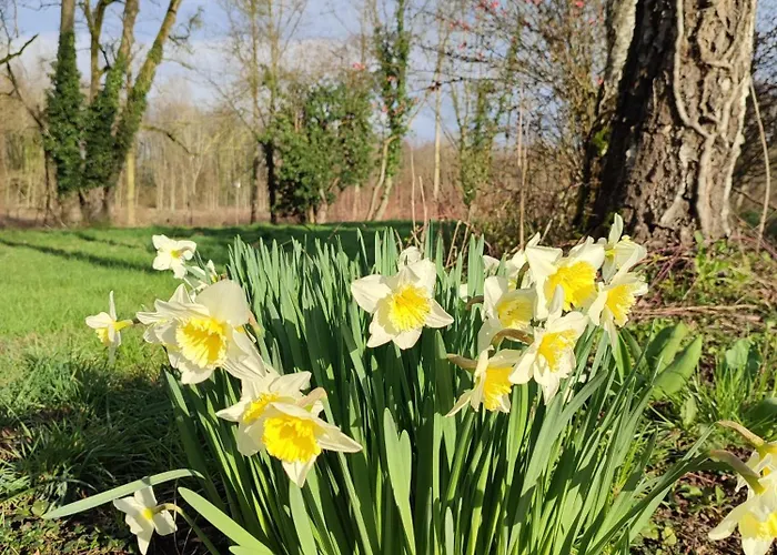 Guest house La Rose Paisible 3*